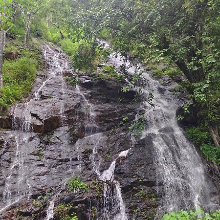 Coorg Divine Spark Home Stay Suntikoppa エクステリア 写真