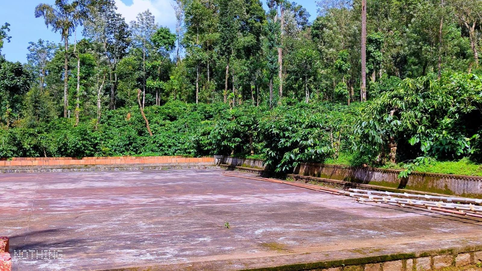 Coorg Divine Spark Home Stay Suntikoppa エクステリア 写真